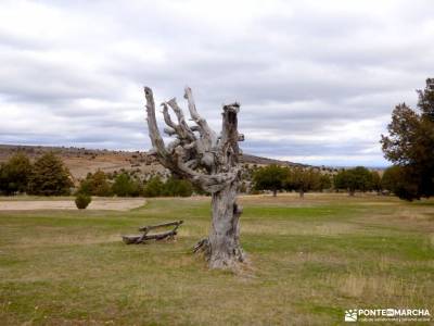 Enebral y Ermita Hornuez;Villa Maderuelo;tiempo sierra de madrid circo de gredos ruta senderos en la